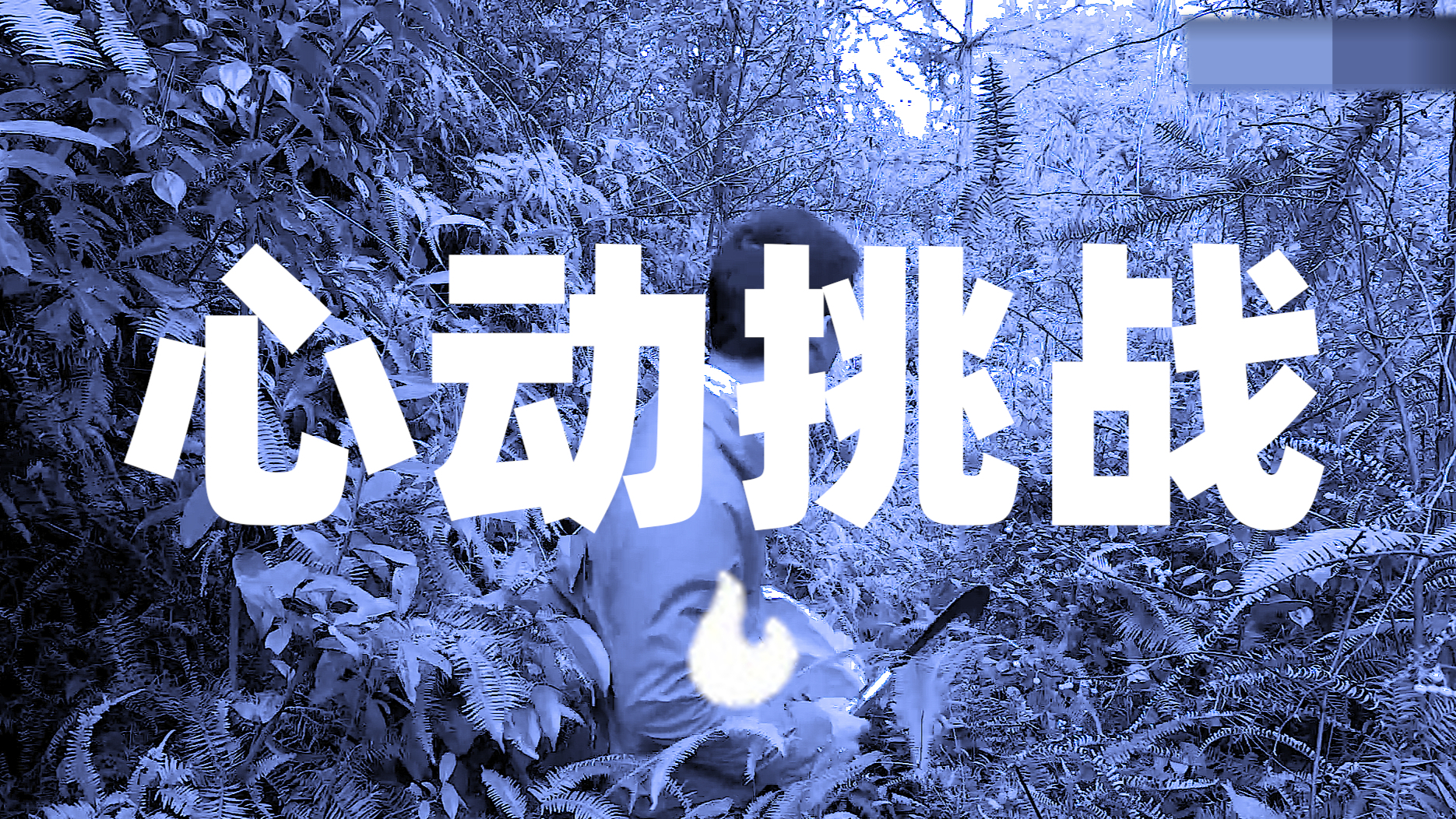 【华农兄弟】你能坚持到一分钟吗